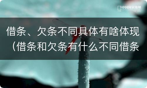 借条、欠条不同具体有啥体现（借条和欠条有什么不同借条书写）