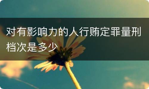 对有影响力的人行贿定罪量刑档次是多少