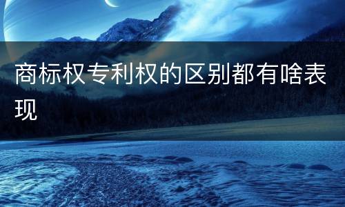 商标权专利权的区别都有啥表现