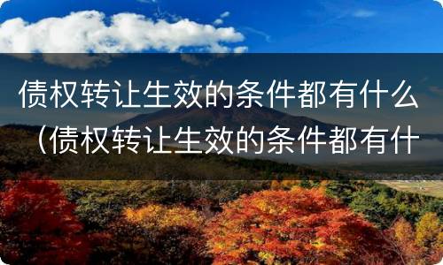 债权转让生效的条件都有什么（债权转让生效的条件都有什么内容）