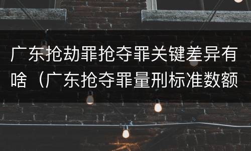 广东抢劫罪抢夺罪关键差异有啥（广东抢夺罪量刑标准数额）