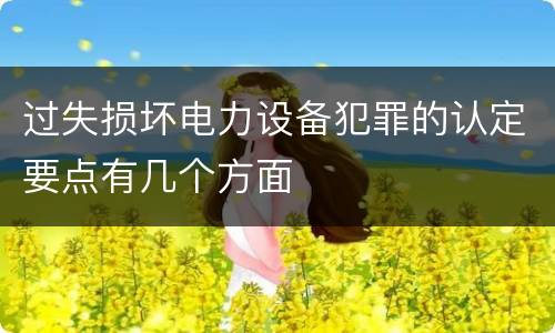 过失损坏电力设备犯罪的认定要点有几个方面