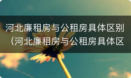 河北廉租房与公租房具体区别（河北廉租房与公租房具体区别是什么）