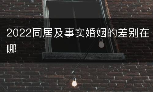 2022同居及事实婚姻的差别在哪