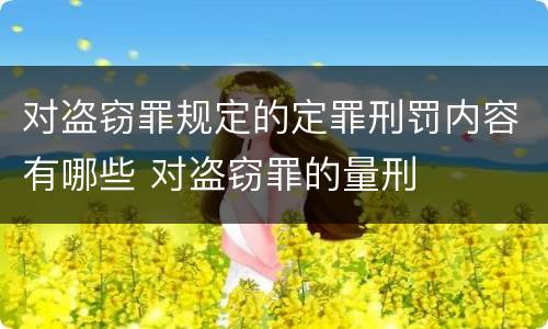 对盗窃罪规定的定罪刑罚内容有哪些 对盗窃罪的量刑