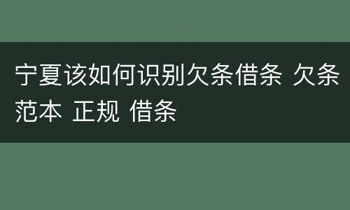 宁夏该如何识别欠条借条 欠条范本 正规 借条