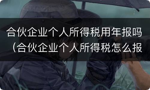 合伙企业个人所得税用年报吗（合伙企业个人所得税怎么报税）