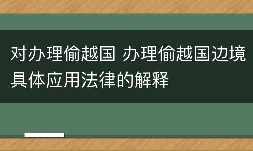 对办理偷越国 办理偷越国边境具体应用法律的解释