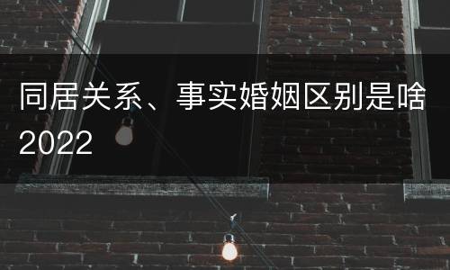 同居关系、事实婚姻区别是啥2022