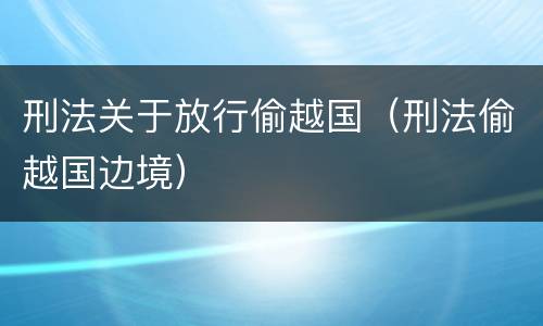 刑法关于放行偷越国（刑法偷越国边境）