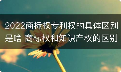 2022商标权专利权的具体区别是啥 商标权和知识产权的区别