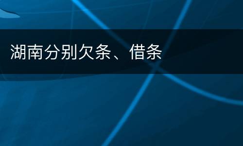 湖南分别欠条、借条