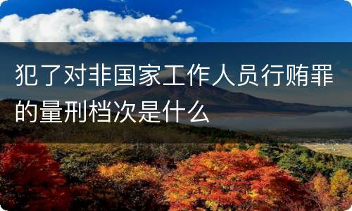 犯了对非国家工作人员行贿罪的量刑档次是什么