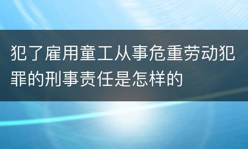 犯了雇用童工从事危重劳动犯罪的刑事责任是怎样的