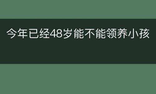 今年已经48岁能不能领养小孩