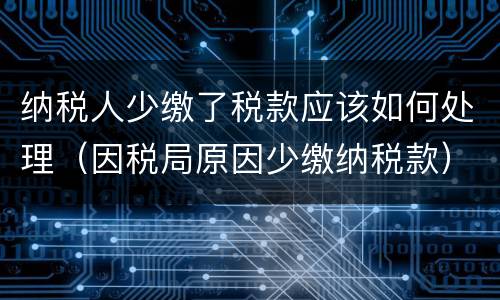 纳税人少缴了税款应该如何处理（因税局原因少缴纳税款）