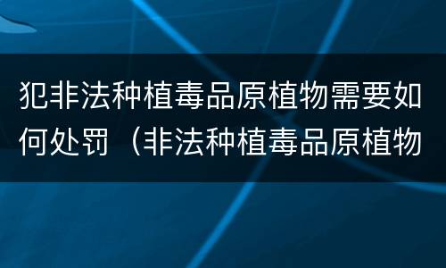 犯非法种植毒品原植物需要如何处罚（非法种植毒品原植物的处罚）
