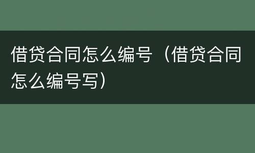 借贷合同怎么编号（借贷合同怎么编号写）