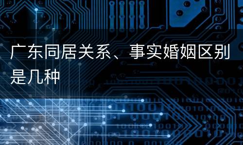广东同居关系、事实婚姻区别是几种