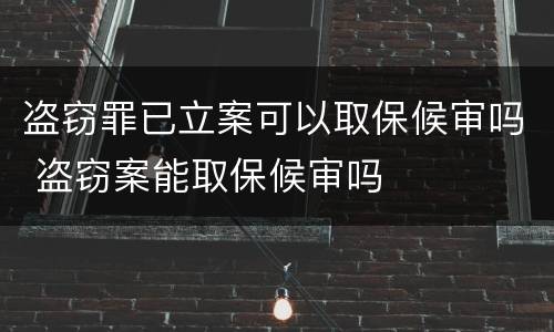 盗窃罪已立案可以取保候审吗 盗窃案能取保候审吗