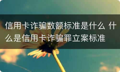 信用卡诈骗数额标准是什么 什么是信用卡诈骗罪立案标准