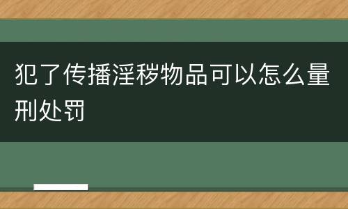 犯了传播淫秽物品可以怎么量刑处罚