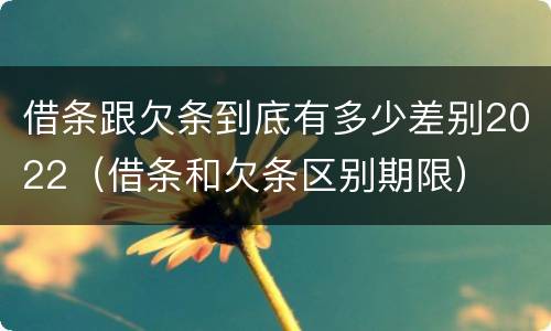 借条跟欠条到底有多少差别2022（借条和欠条区别期限）