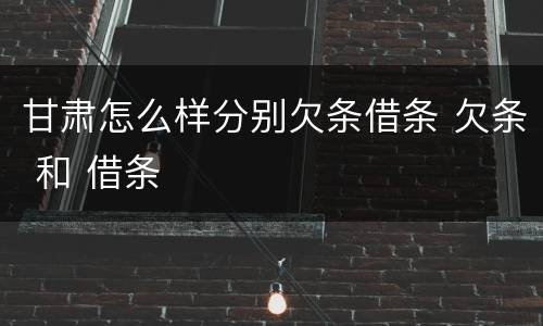甘肃怎么样分别欠条借条 欠条 和 借条