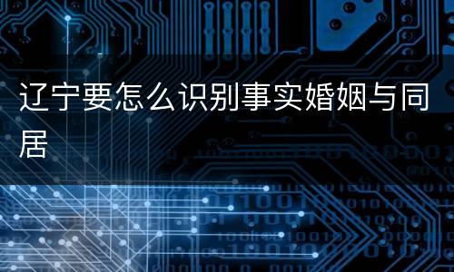 辽宁要怎么识别事实婚姻与同居