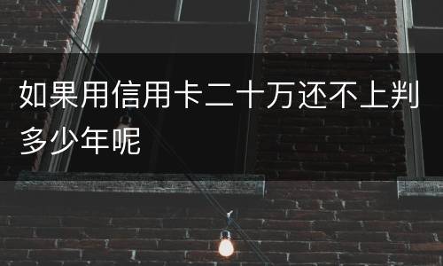 如果用信用卡二十万还不上判多少年呢