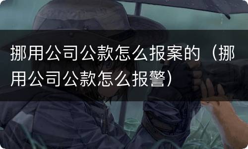 挪用公司公款怎么报案的（挪用公司公款怎么报警）