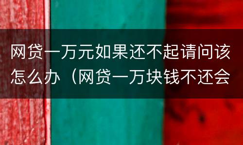网贷一万元如果还不起请问该怎么办（网贷一万块钱不还会怎样）