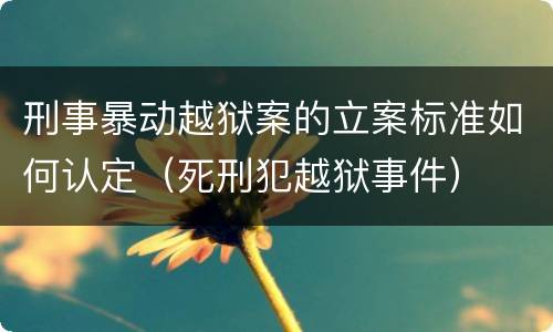 刑事暴动越狱案的立案标准如何认定（死刑犯越狱事件）