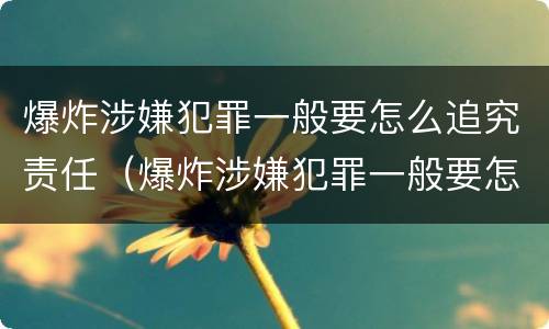爆炸涉嫌犯罪一般要怎么追究责任（爆炸涉嫌犯罪一般要怎么追究责任和义务）