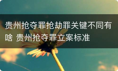 贵州抢夺罪抢劫罪关键不同有啥 贵州抢夺罪立案标准