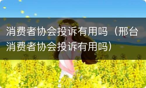 消费者协会投诉有用吗（邢台消费者协会投诉有用吗）