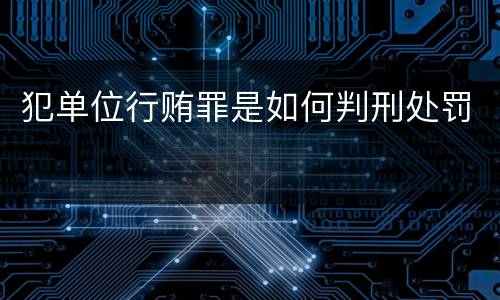 犯单位行贿罪是如何判刑处罚