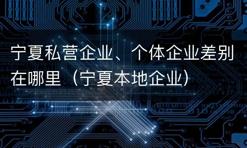 宁夏私营企业、个体企业差别在哪里（宁夏本地企业）