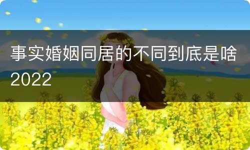 事实婚姻同居的不同到底是啥2022