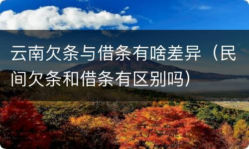 云南欠条与借条有啥差异（民间欠条和借条有区别吗）