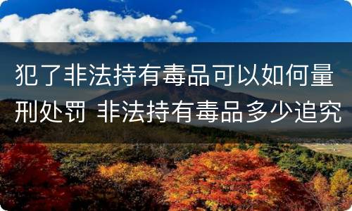 犯了非法持有毒品可以如何量刑处罚 非法持有毒品多少追究刑事责任