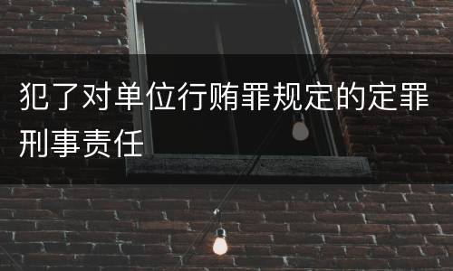 犯了对单位行贿罪规定的定罪刑事责任