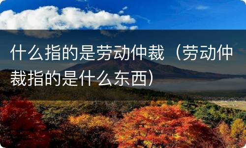 什么指的是劳动仲裁（劳动仲裁指的是什么东西）