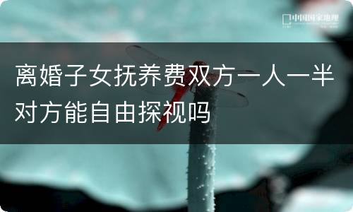 离婚子女抚养费双方一人一半对方能自由探视吗