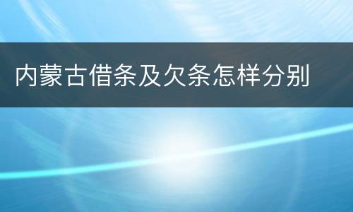 内蒙古借条及欠条怎样分别