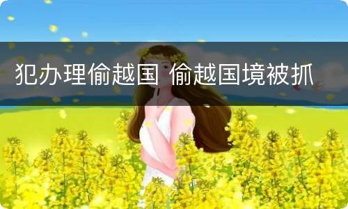 犯办理偷越国 偷越国境被抓