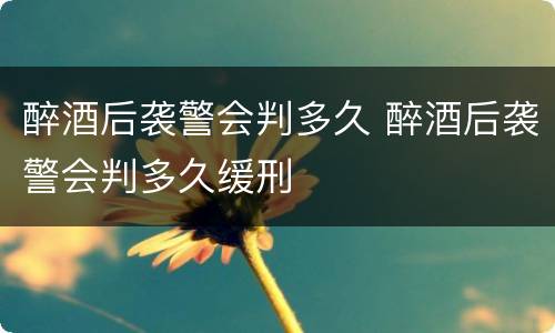 醉酒后袭警会判多久 醉酒后袭警会判多久缓刑