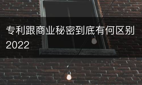 专利跟商业秘密到底有何区别2022