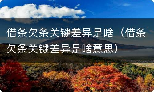 借条欠条关键差异是啥（借条欠条关键差异是啥意思）