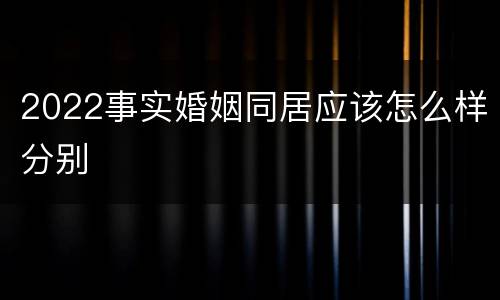 2022事实婚姻同居应该怎么样分别